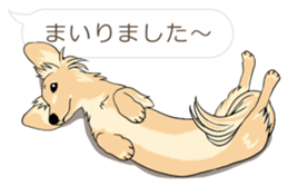 Hukidashi Dachshunds sticker #10563530