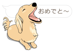 Hukidashi Dachshunds sticker #10563537