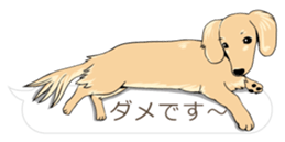 Hukidashi Dachshunds sticker #10563540
