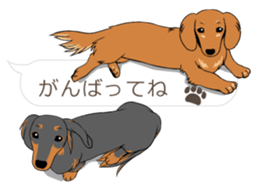 Hukidashi Dachshunds sticker #10563557