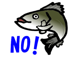 Japanese sea bass joke sticker #10563762