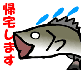 Japanese sea bass joke sticker #10563764
