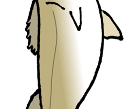 Japanese sea bass joke sticker #10563766