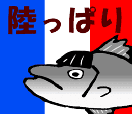 Japanese sea bass joke sticker #10563776