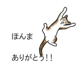 Cats balloon sticker sticker #10564562