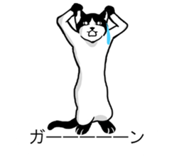 Cats balloon sticker sticker #10564563