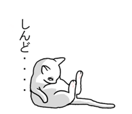 Cats balloon sticker sticker #10564568