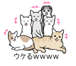 Cats balloon sticker sticker #10564575