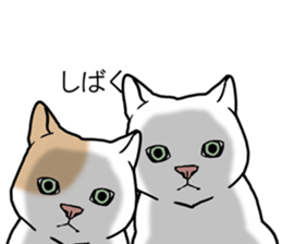 Cats balloon sticker sticker #10564577