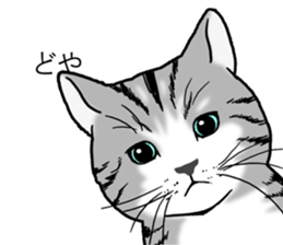 Cats balloon sticker sticker #10564578