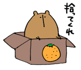 Kumazusan sticker #10565482