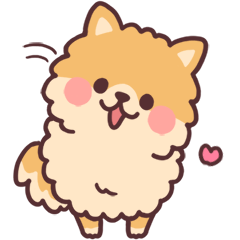 Fluffy Fat Pomeranian By Natsumi Fluffy Fat Pomeranian By Natsumi