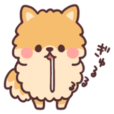 fluffy fat Pomeranian sticker #10565926