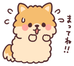 fluffy fat Pomeranian sticker #10565930