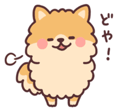 fluffy fat Pomeranian sticker #10565932