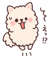 fluffy fat Pomeranian sticker #10565933