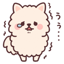 fluffy fat Pomeranian sticker #10565939