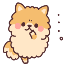 fluffy fat Pomeranian sticker #10565940