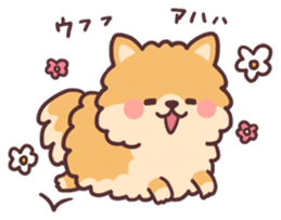 fluffy fat Pomeranian sticker #10565950