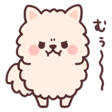 fluffy fat Pomeranian sticker #10565953