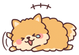 fluffy fat Pomeranian sticker #10565956