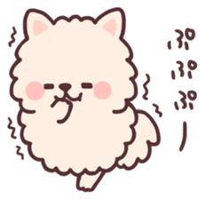 fluffy fat Pomeranian sticker #10565957