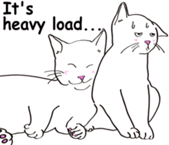 Pose of cat that you also know2(English) sticker #10568007