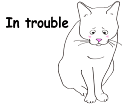 Pose of cat that you also know2(English) sticker #10568008