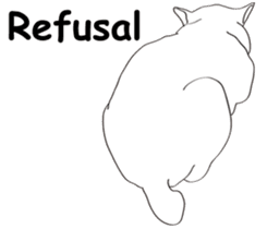 Pose of cat that you also know2(English) sticker #10568012