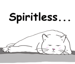 Pose of cat that you also know2(English) sticker #10568014