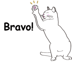 Pose of cat that you also know2(English) sticker #10568016