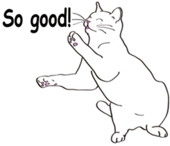 Pose of cat that you also know2(English) sticker #10568017