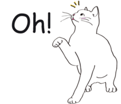 Pose of cat that you also know2(English) sticker #10568018