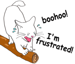 Pose of cat that you also know2(English) sticker #10568022