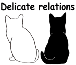 Pose of cat that you also know2(English) sticker #10568023