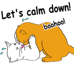 Pose of cat that you also know2(English) sticker #10568024