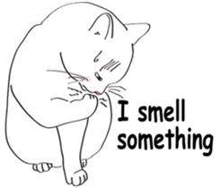 Pose of cat that you also know2(English) sticker #10568034