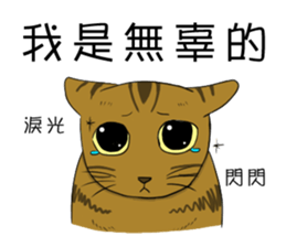 meow's n squared sticker #10577738