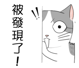 meow's n squared sticker #10577747