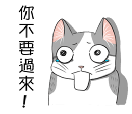 meow's n squared sticker #10577749