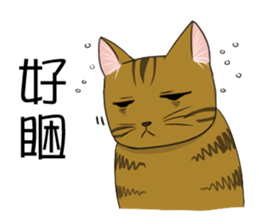 meow's n squared sticker #10577752