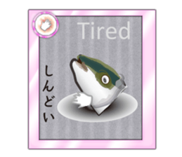Yellowtail of the Sanuki dialect card sticker #10580377