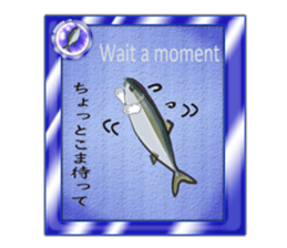 Yellowtail of the Sanuki dialect card sticker #10580380