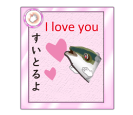 Yellowtail of the Sanuki dialect card sticker #10580390
