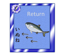Yellowtail of the Sanuki dialect card sticker #10580398
