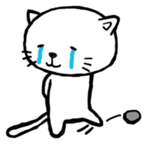 cat crying and ask sticker #10580915