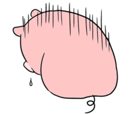 Hello Pig pork sticker #10581855