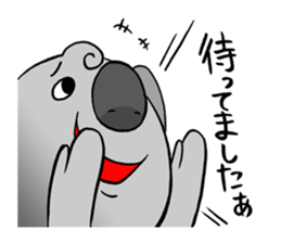 a modest koala sticker #10582692