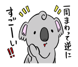 a modest koala sticker #10582695