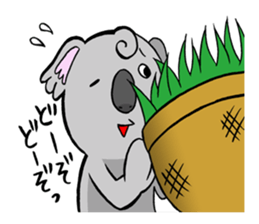 a modest koala sticker #10582702